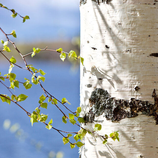 Liikeemme ovat suljettuna 1.5.